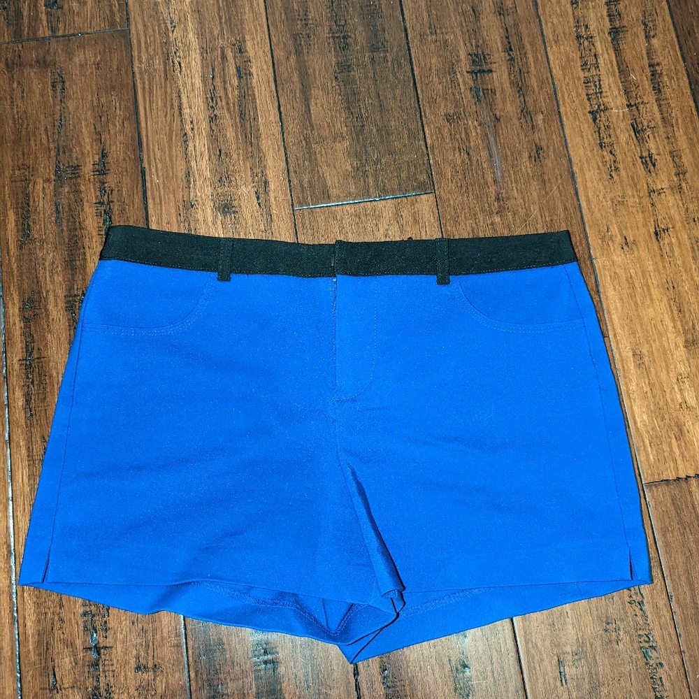 Forever 21 Royal Blue Shorts - Size L